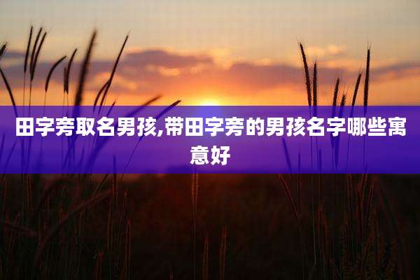 田字旁取名男孩,带田字旁的男孩名字哪些寓意好