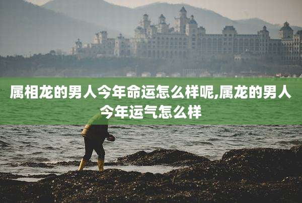 属相龙的男人今年命运怎么样呢,属龙的男人今年运气怎么样