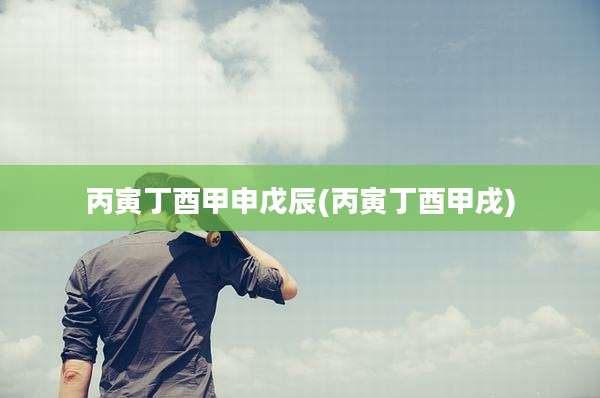 丙寅丁酉甲申戊辰(丙寅丁酉甲戌)