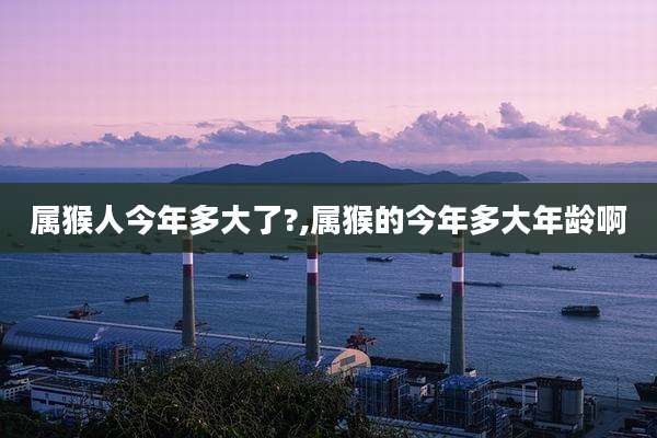 属猴人今年多大了?,属猴的今年多大年龄啊