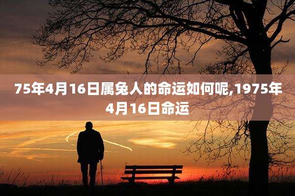 75年4月16日属兔人的命运如何呢,1975年4月16日命运