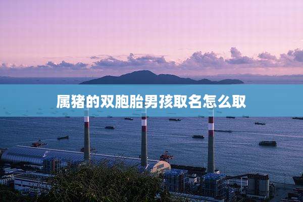 属猪的双胞胎男孩取名怎么取