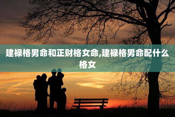 建禄格男命和正财格女命,建禄格男命配什么格女
