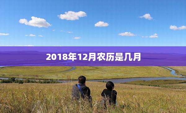 2018年12月农历是几月