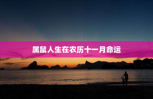 属鼠人生在农历十一月命运
