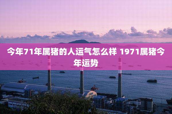 今年71年属猪的人运气怎么样 1971属猪今年运势