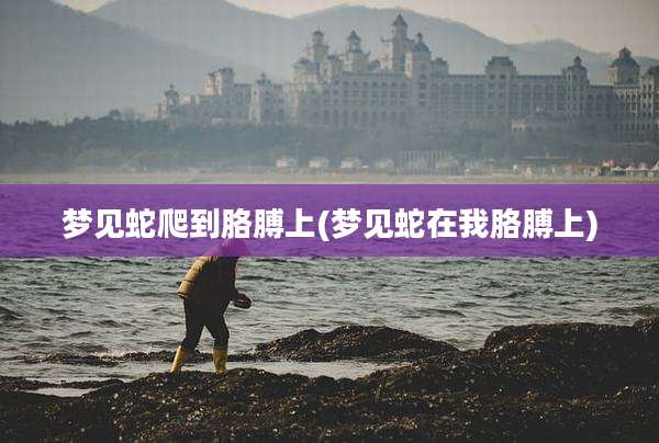 梦见蛇爬到胳膊上(梦见蛇在我胳膊上)
