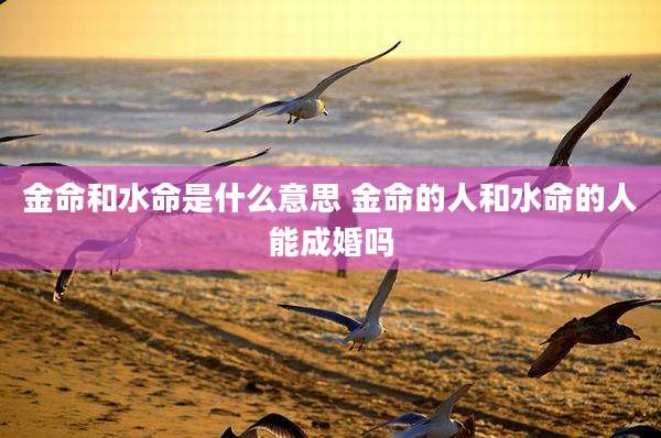 金命和水命是什么意思 金命的人和水命的人能成婚吗