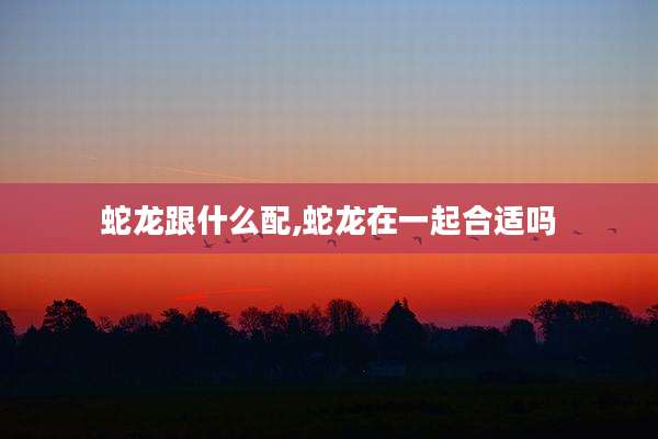 蛇龙跟什么配,蛇龙在一起合适吗