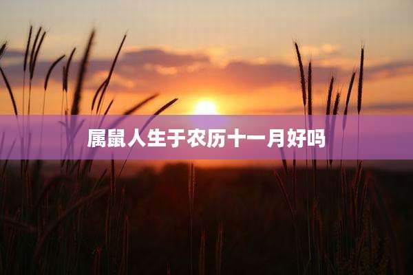 属鼠人生于农历十一月好吗