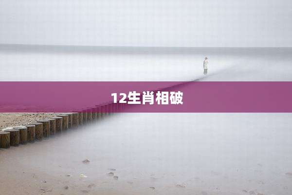 12生肖相破