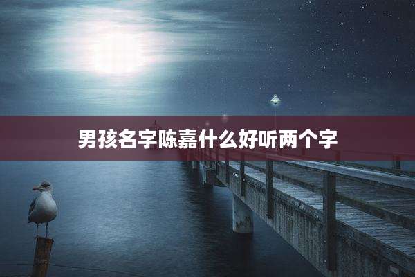 男孩名字陈嘉什么好听两个字