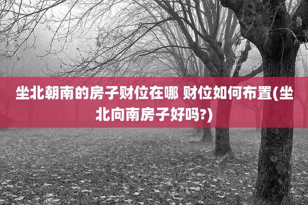 坐北朝南的房子财位在哪 财位如何布置(坐北向南房子好吗?)