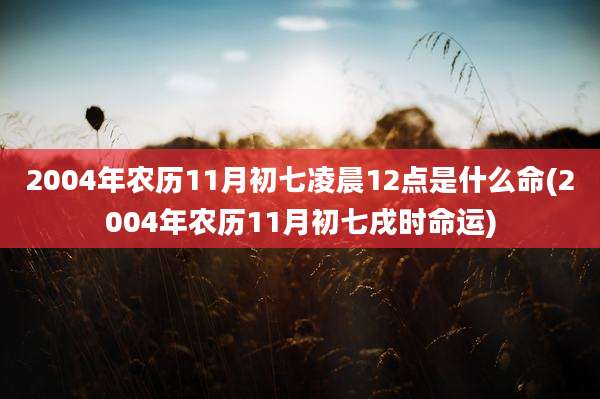 2004年农历11月初七凌晨12点是什么命(2004年农历11月初七戌时命运)