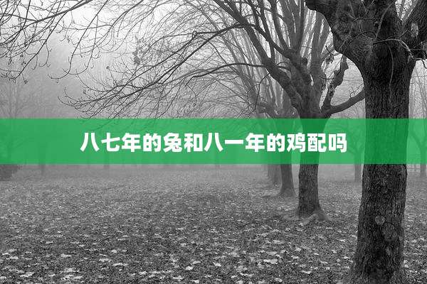 八七年的兔和八一年的鸡配吗