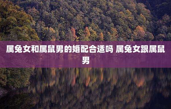 属兔女和属鼠男的婚配合适吗 属兔女跟属鼠男