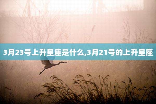 3月23号上升星座是什么,3月21号的上升星座