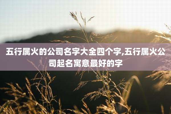 五行属火的公司名字大全四个字,五行属火公司起名寓意最好的字