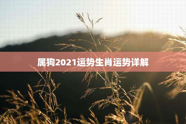 属狗2021运势生肖运势详解