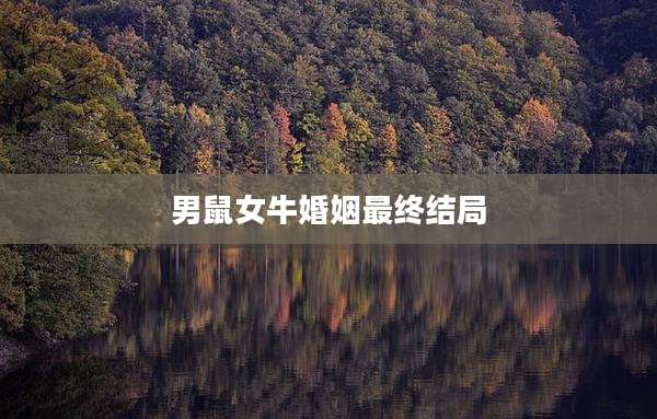 男鼠女牛婚姻最终结局