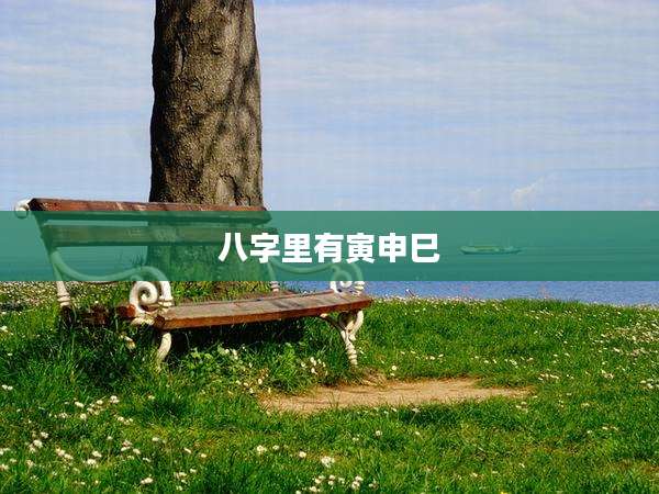 八字里有寅申巳