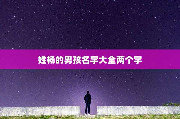 姓杨的男孩名字大全两个字