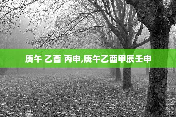 庚午 乙酉 丙申,庚午乙酉甲辰壬申