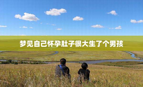 梦见自己怀孕肚子很大生了个男孩