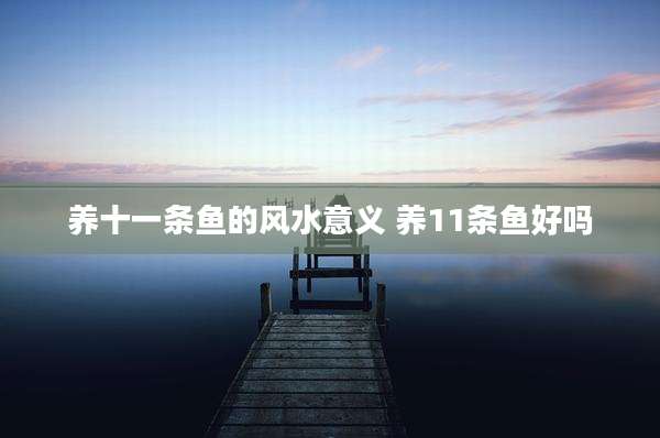 养十一条鱼的风水意义 养11条鱼好吗