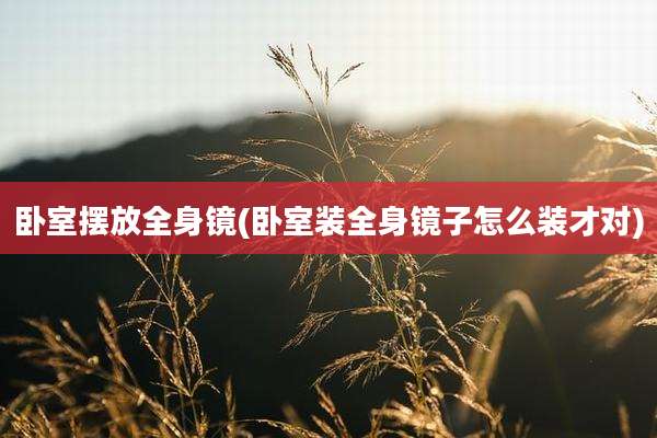卧室摆放全身镜(卧室装全身镜子怎么装才对)