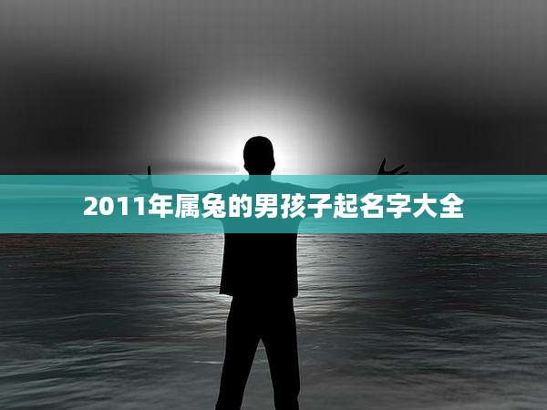 2011年属兔的男孩子起名字大全