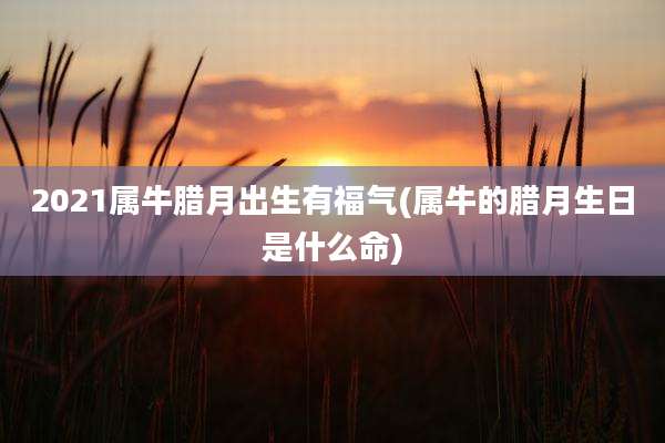 2021属牛腊月出生有福气(属牛的腊月生日是什么命)