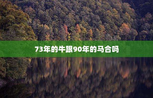 73年的牛跟90年的马合吗