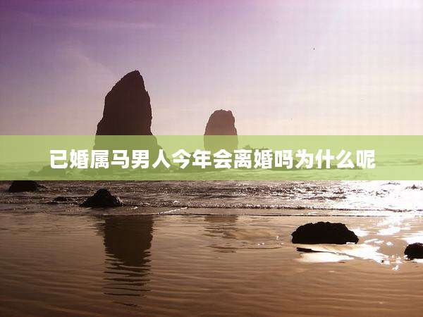 已婚属马男人今年会离婚吗为什么呢