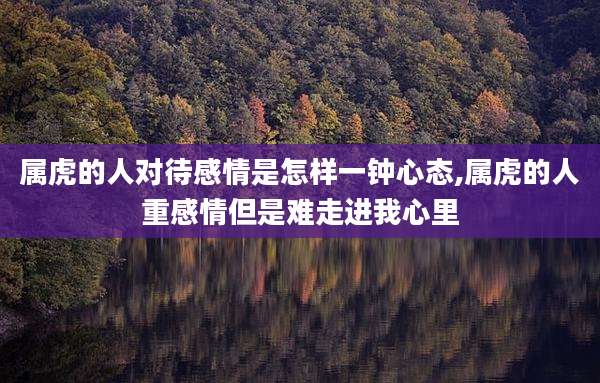 属虎的人对待感情是怎样一钟心态,属虎的人重感情但是难走进我心里