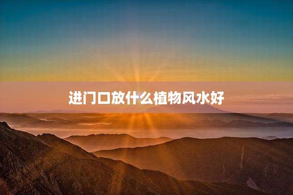 进门口放什么植物风水好
