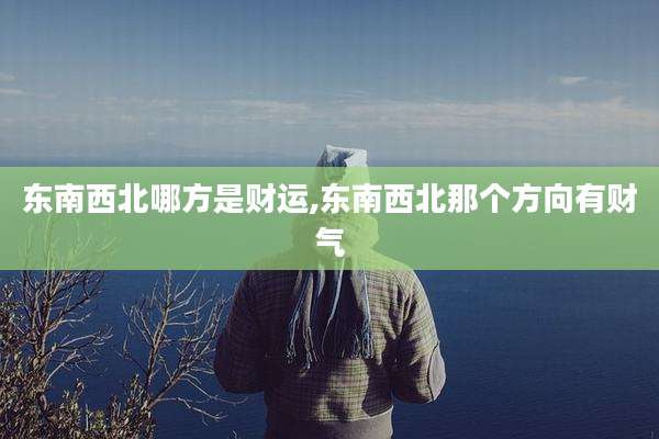 东南西北哪方是财运,东南西北那个方向有财气