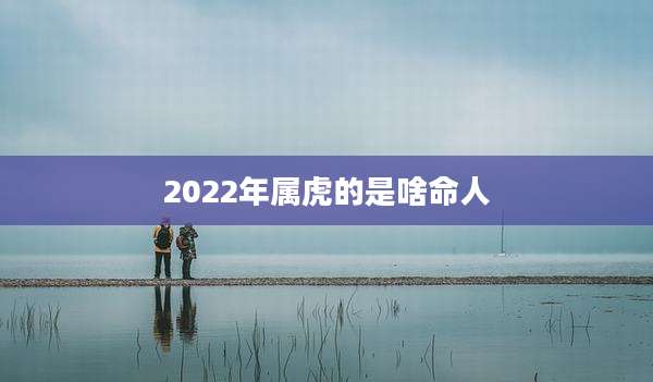 2022年属虎的是啥命人