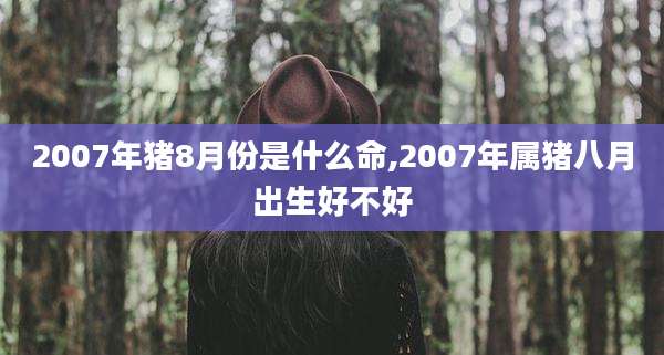 2007年猪8月份是什么命,2007年属猪八月出生好不好