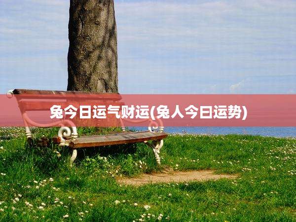 兔今日运气财运(兔人今曰运势)