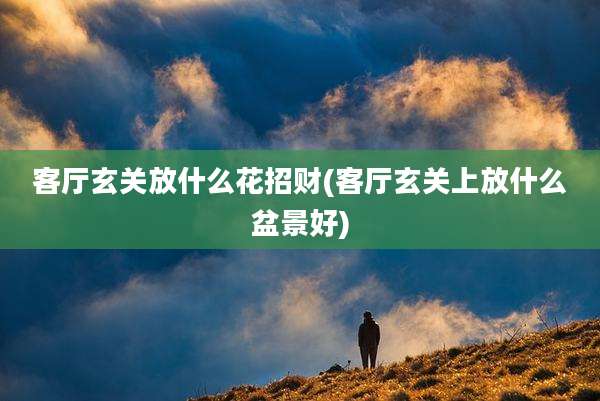 客厅玄关放什么花招财(客厅玄关上放什么盆景好)