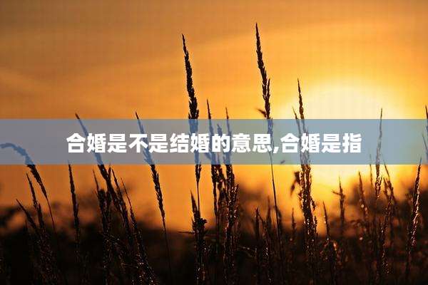 合婚是不是结婚的意思,合婚是指
