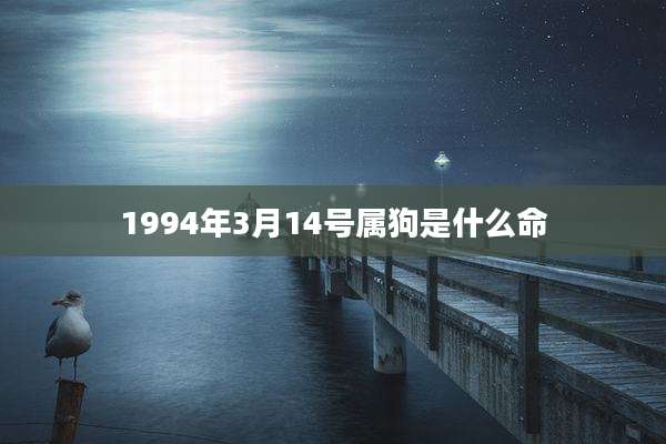 1994年3月14号属狗是什么命