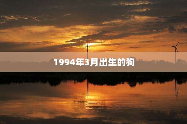 1994年3月出生的狗