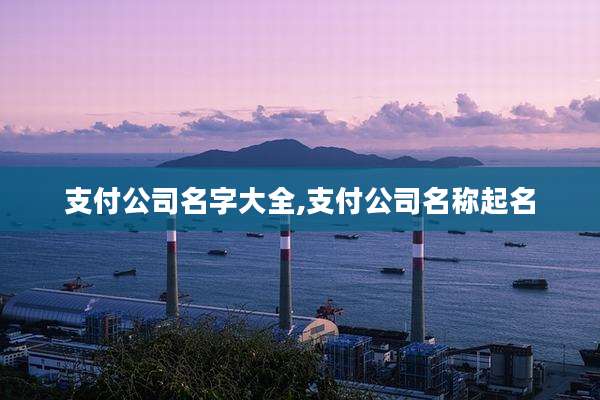 支付公司名字大全,支付公司名称起名