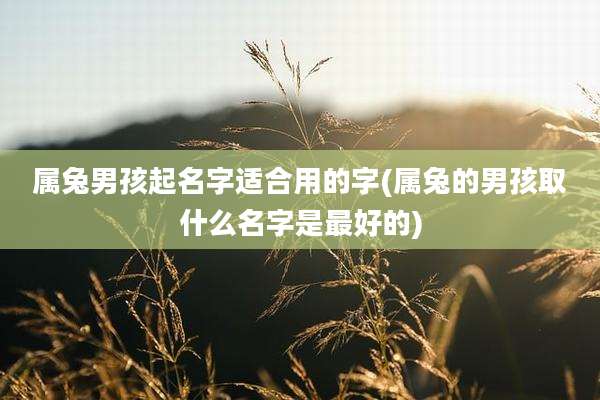属兔男孩起名字适合用的字(属兔的男孩取什么名字是最好的)