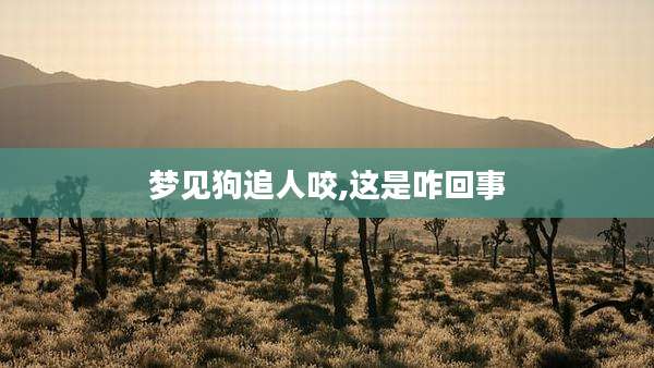 梦见狗追人咬,这是咋回事