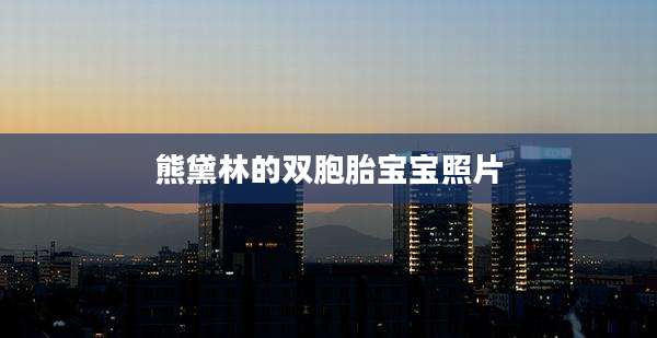 熊黛林的双胞胎宝宝照片
