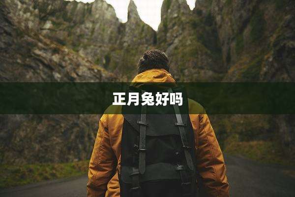 正月兔好吗