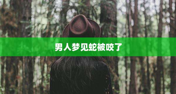 男人梦见蛇被咬了